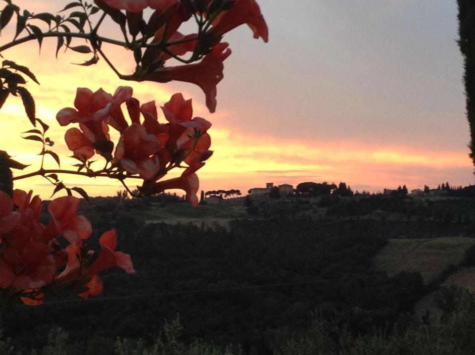 Il Glicine Hotel San Gimignano Buitenkant foto